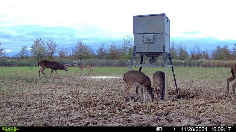 016579002873979-87-2-11282024170022-HD-SYFW01193