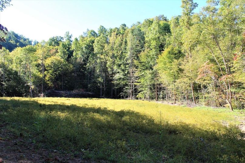 001 the open flat area at the entrance of the property
