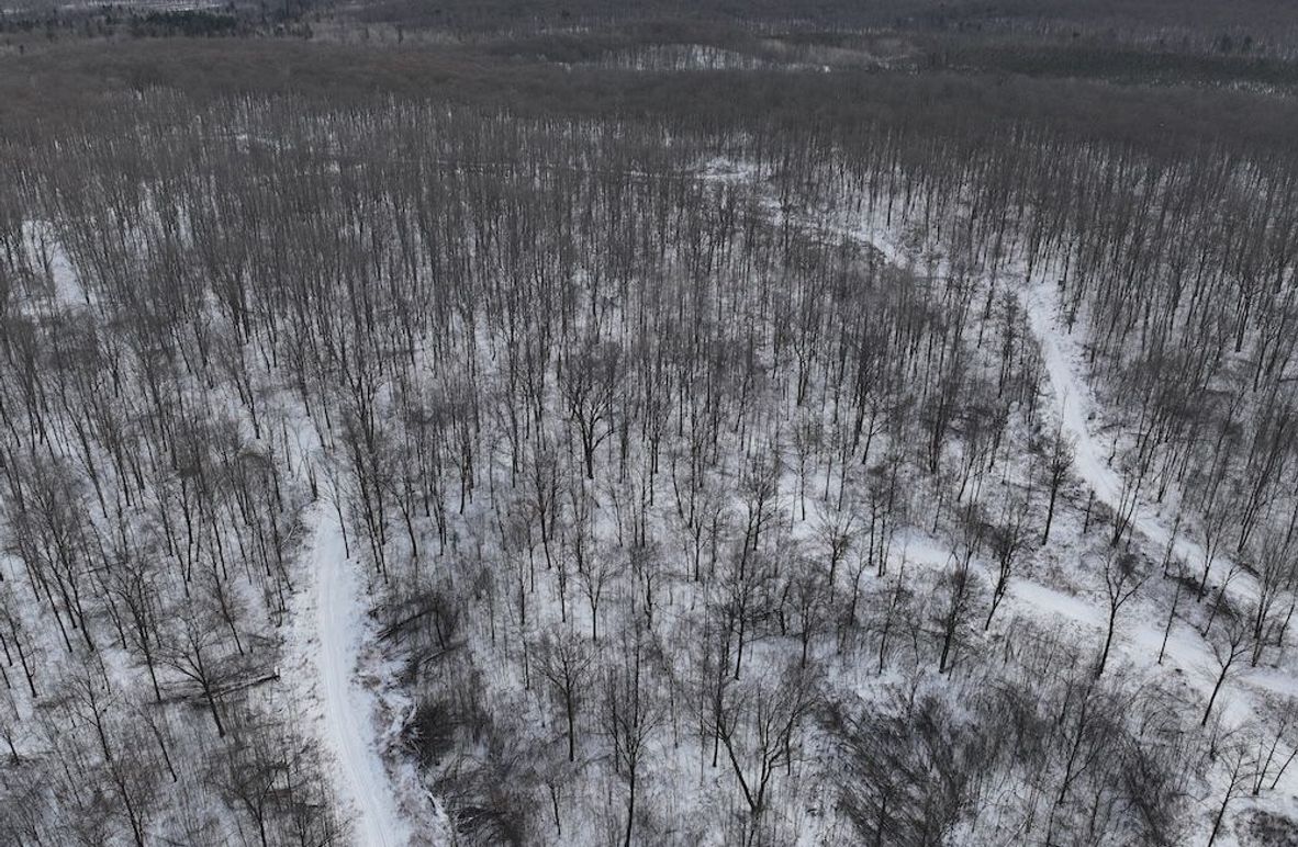 DJI_20250221112638_0013_D