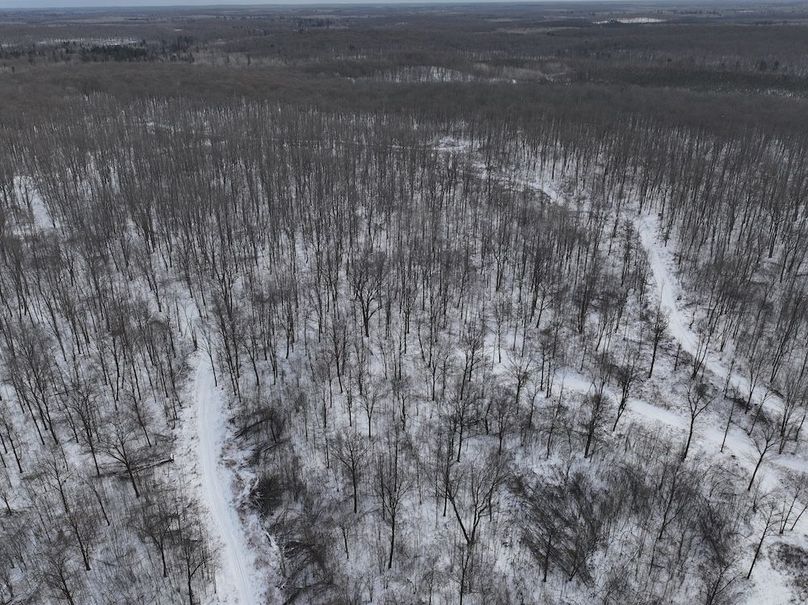 DJI_20250221112638_0013_D