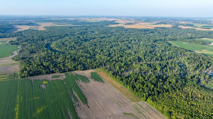 DJI_20250918050545_0003_D