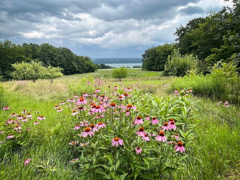 Seneca_65_Engels Photo 34