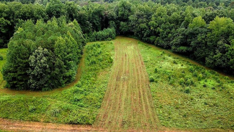 dji_fly_20250802_100534_560_1754143545443_photo_optimized