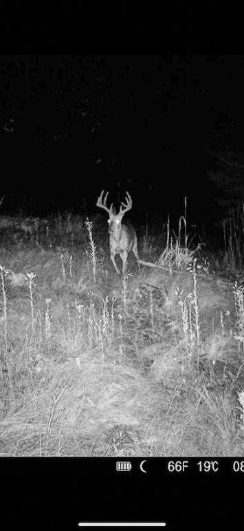 Adams 263.17, Hale -78