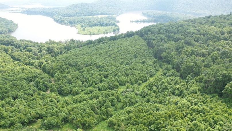 dji_fly_20240621_113702_298_1718984608607_photo