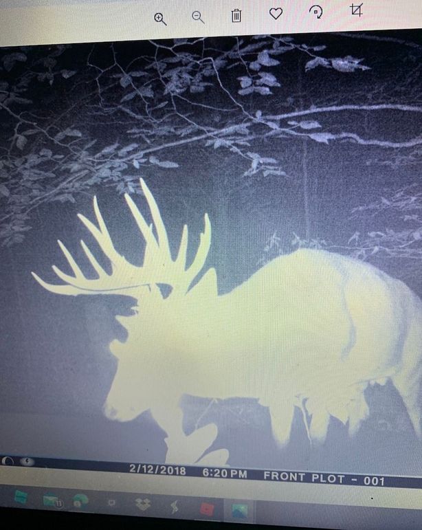 01 picture from the property