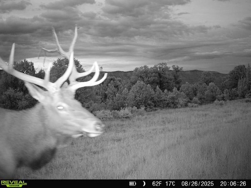 860516060101197-1-2-08262025200626-V-W1000807