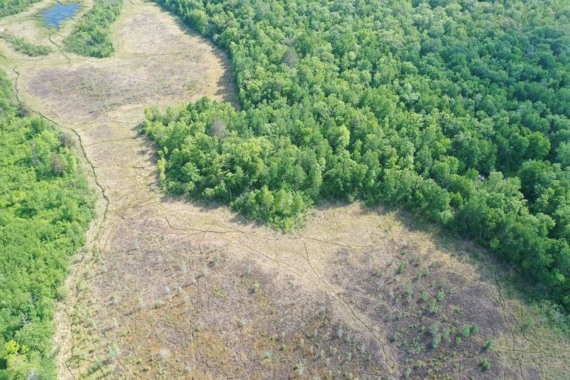 DJI_0358