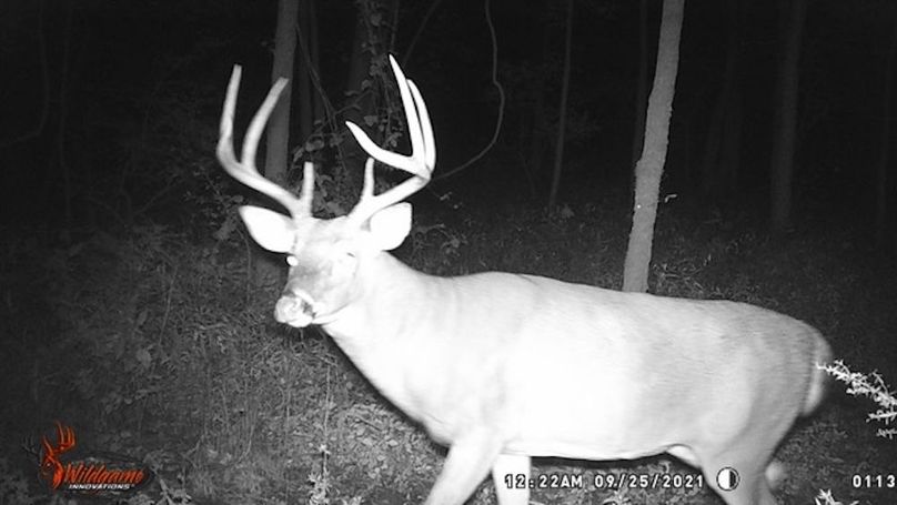 trailcam2