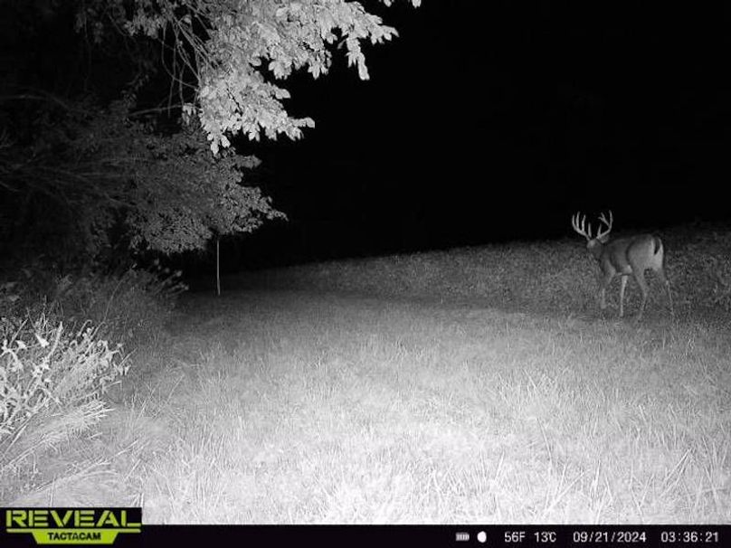 864049050359951-100-2-09212024033620-W1000857