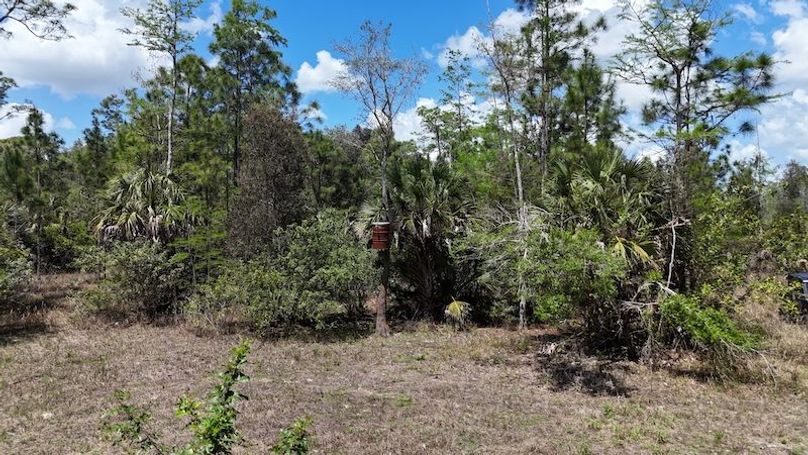 DJI_20260403125949_0468_D