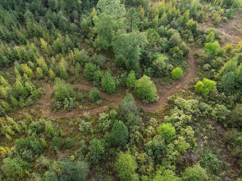 18 47 Edited Harison co. 206 - Ed Robb-108