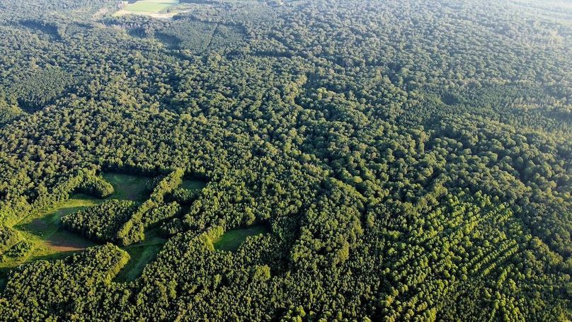 dji_fly_20250726_071740_488_1753528673581_photo_optimized