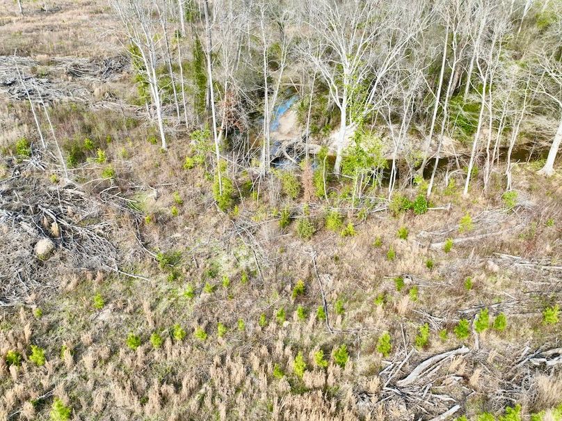 D2C83C65-1DC1-44C7-A30C-6C75EF5D4E23_1_201_a