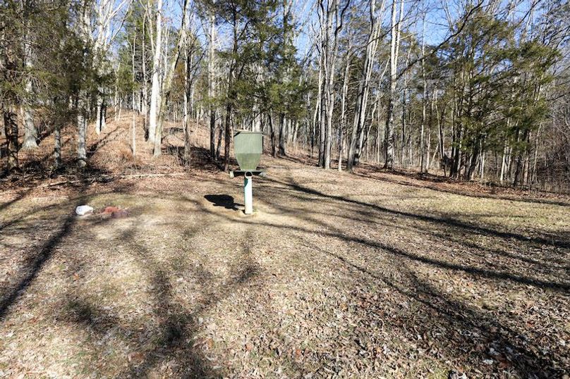 005 one of the two feeder locations, this one is in the bottom of the draw