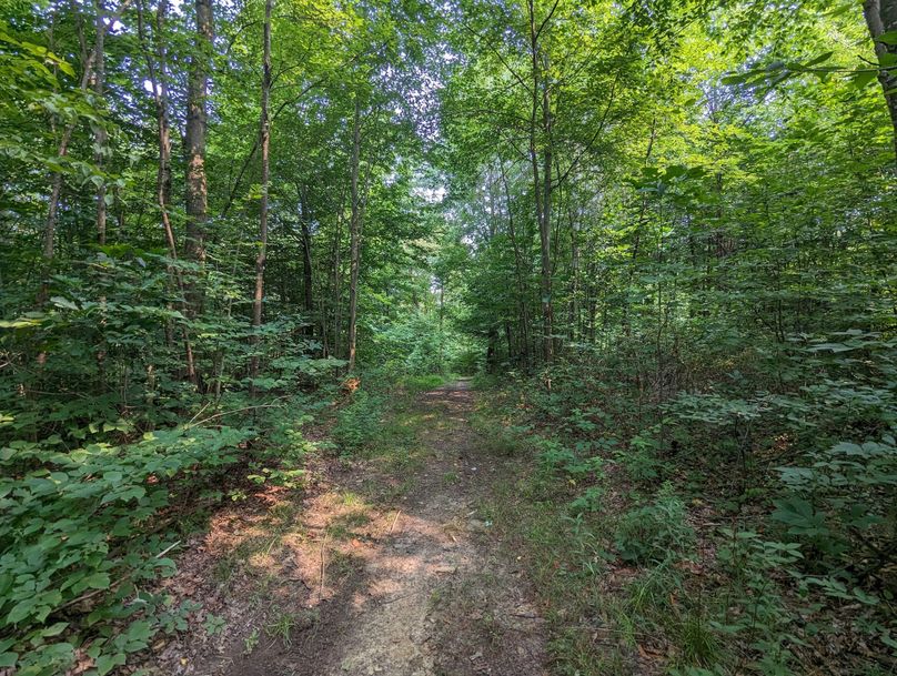 PXL_20230801_150615158