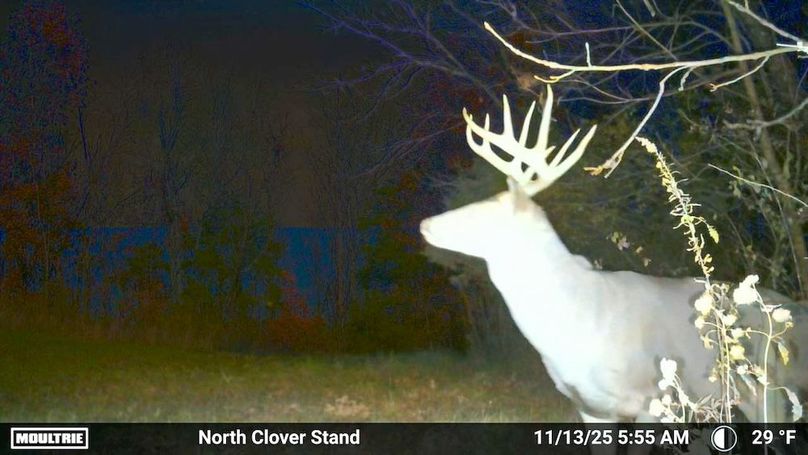 Fleming Petry 115-72