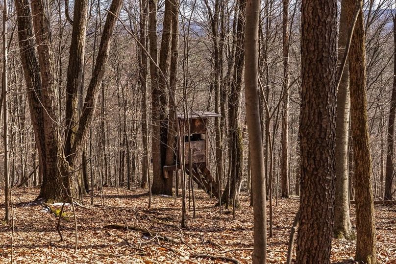 41-web-or-mls-IMG-41