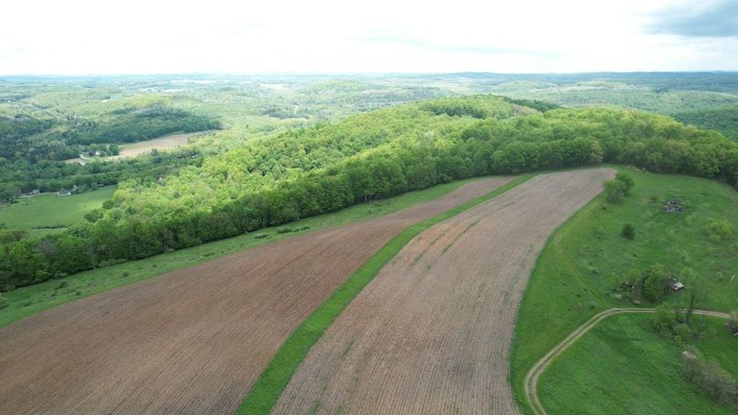 dji_fly_20250515_125720_224_1747328918413_photo
