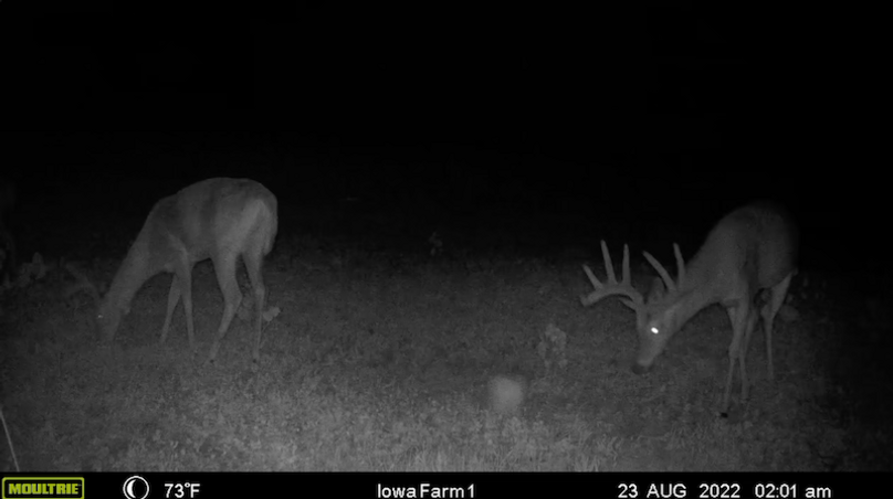 Screen Shot 2024-02-05 at 3.23.50 PM