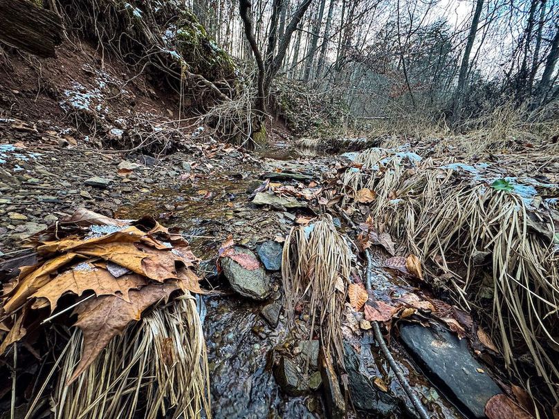 Jackson, WV 118.94 AC Shafer-098