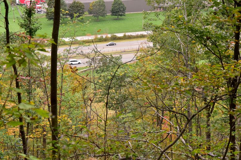 Chemung_29.5_Frantellizzi_Photo_12