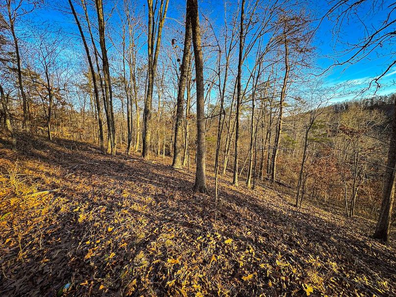 Jackson, WV 118.94 AC Shafer-079