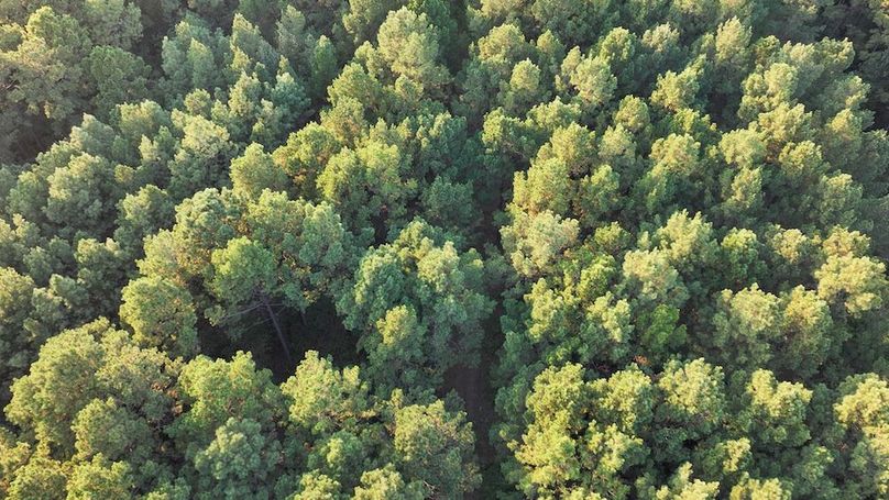 DJI_20250918180444_0198_D