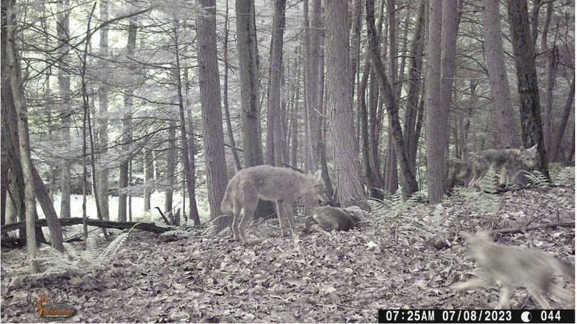 Screenshot 2026-02-25 214003