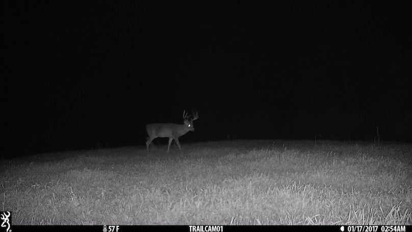 trail cam8