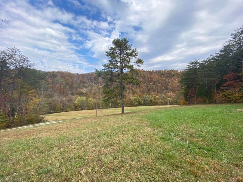 006 the view off what would be the front porch of your future dream home!