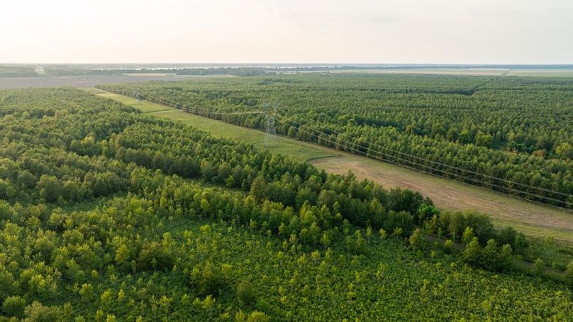 MadisonParLa1372-069