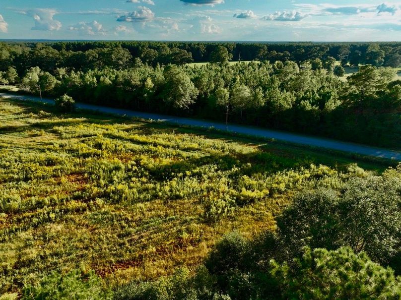 21491C4F-7132-439A-B238-AEAFC7822F91_1_105_c-2