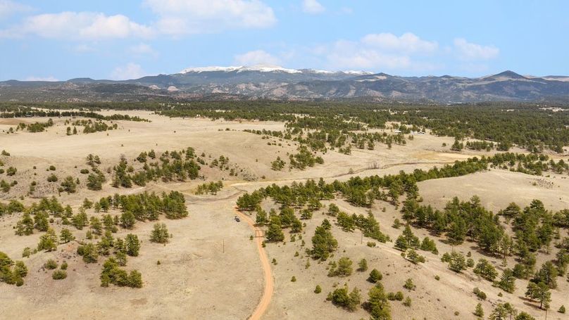 DJI_20260504140922_0501_D