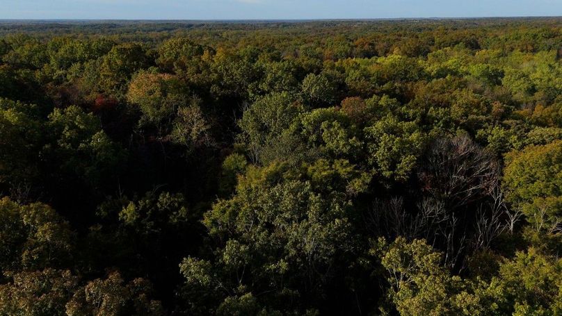 Sequence 07.00_10_35_16.Still115