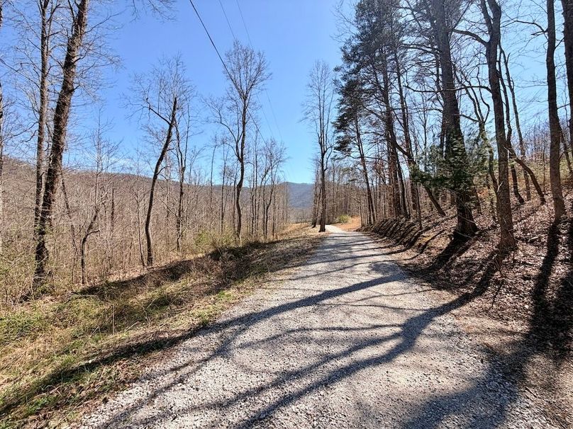 Morgan Co TN 310.833 Schneller_48