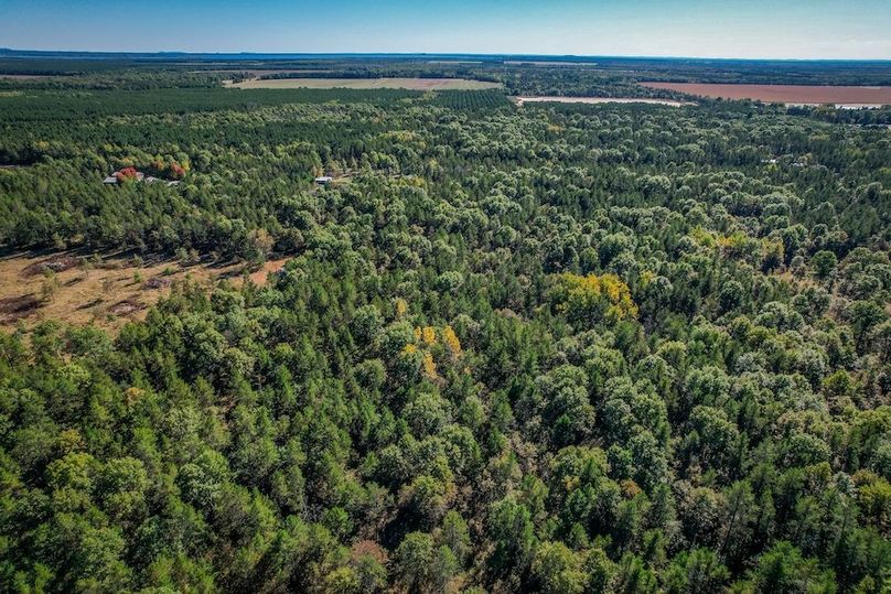 Juneau 27 Wiesner -097