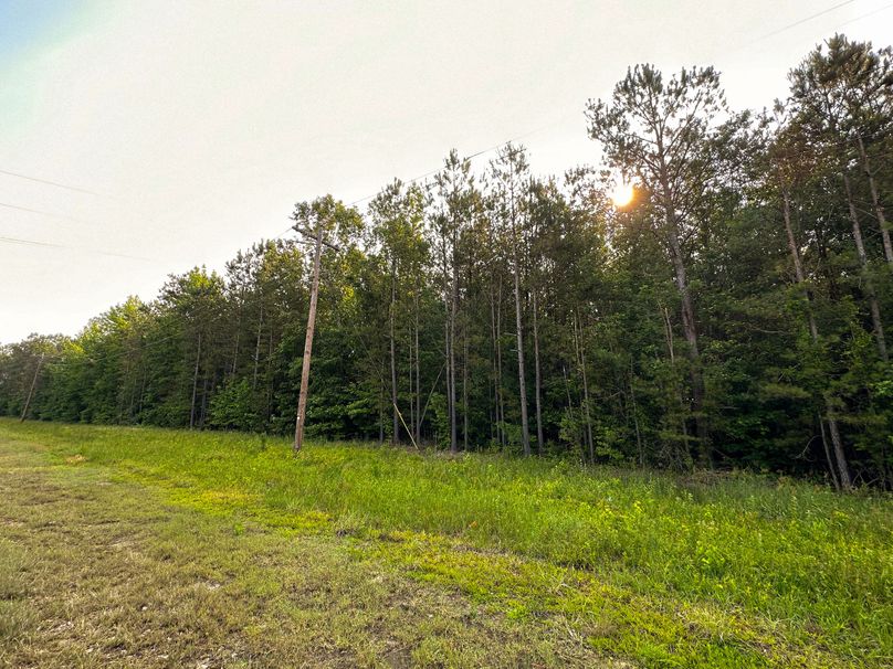 Clay County, MS 17.5+_- Jennings-02