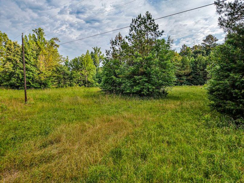 Chickasaw Tract 2-10