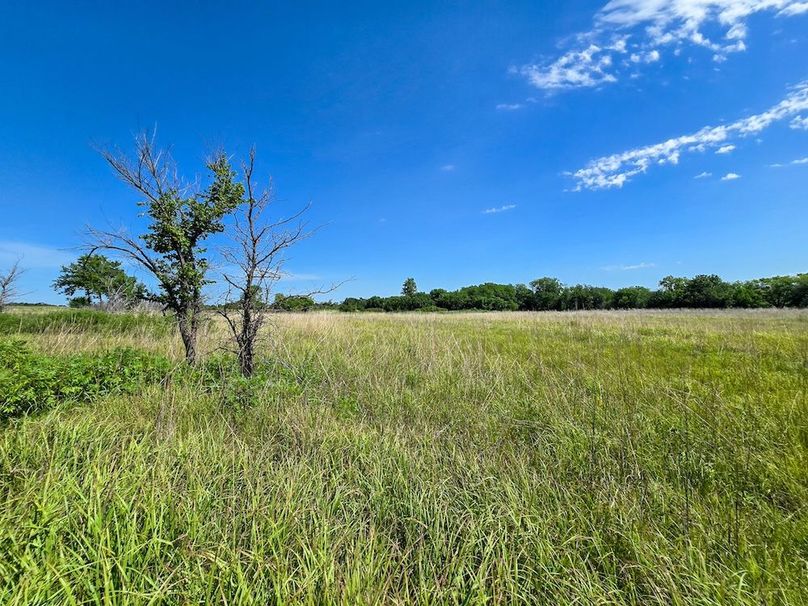 Copy of 20250729_113831