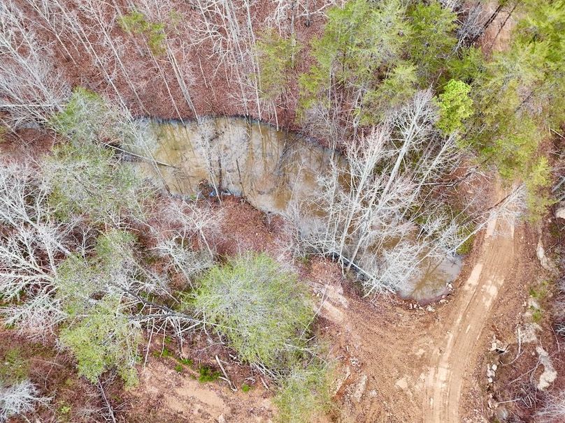 Roane Co TN 396 20251127_10