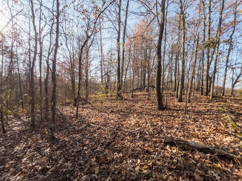 Yazoo Co - 75 - Batton-21