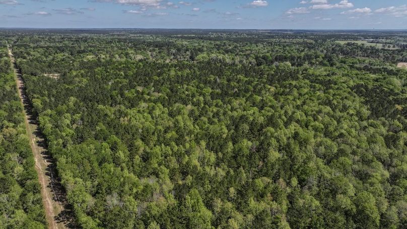 DJI_20260327115747_0042_D