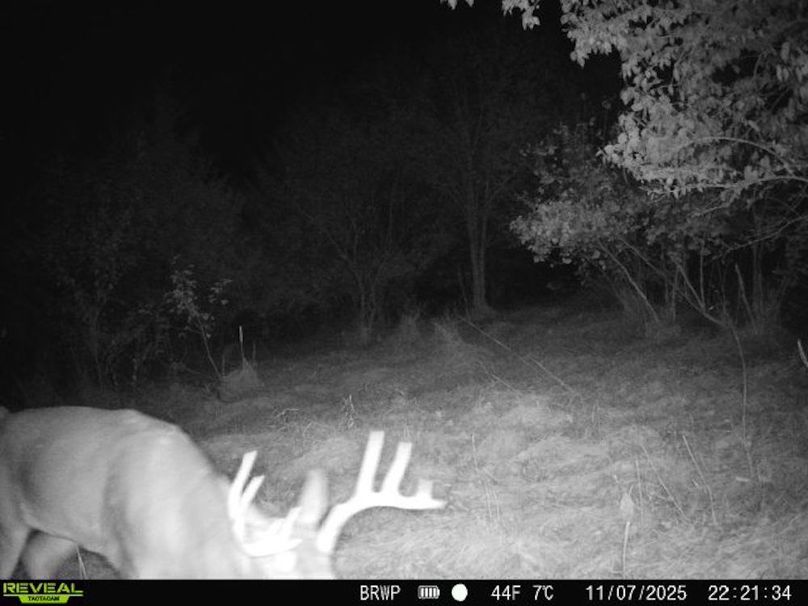 860322065924133-100-4-11072025222134-W1000677