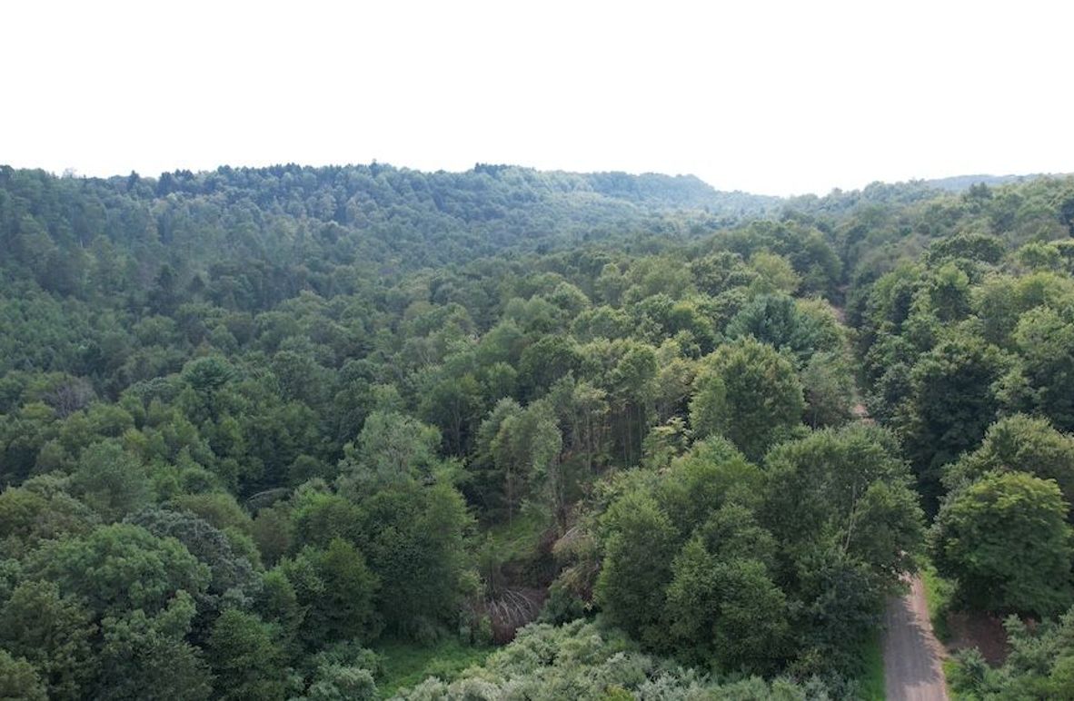 dji_fly_20250806_151822_604_1754528925217_photo