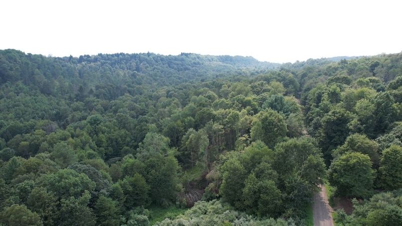 dji_fly_20250806_151822_604_1754528925217_photo