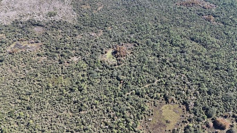 DJI_20251121121742_0014_D