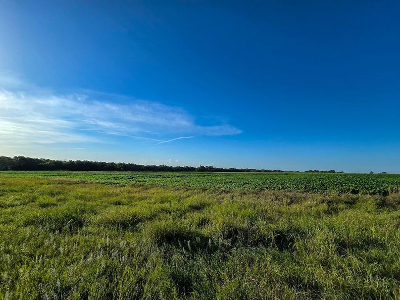 Copy of 20250729_080434