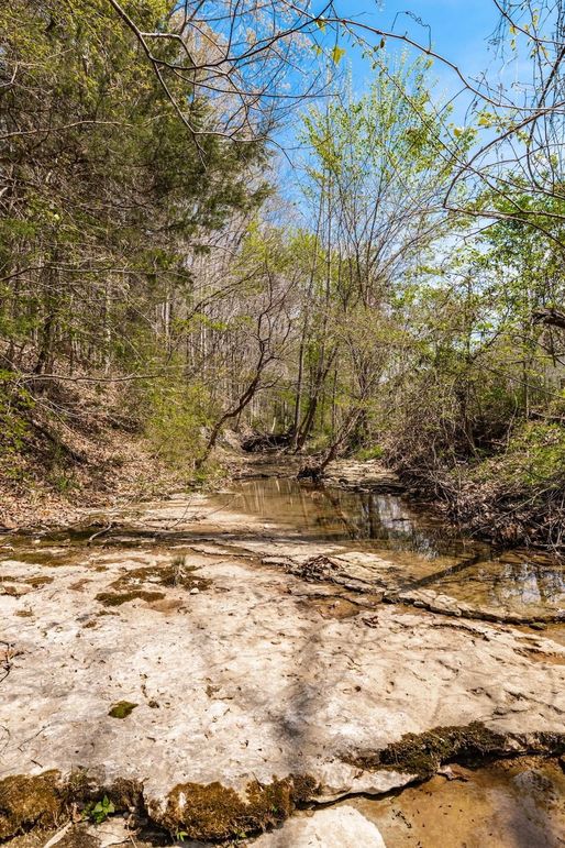 109-web-or-mls-0 Mound Creek Rd-79