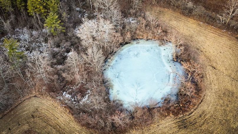 Seneca_24.54_Hohwald_Photos_14